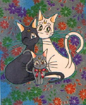 the cats...
